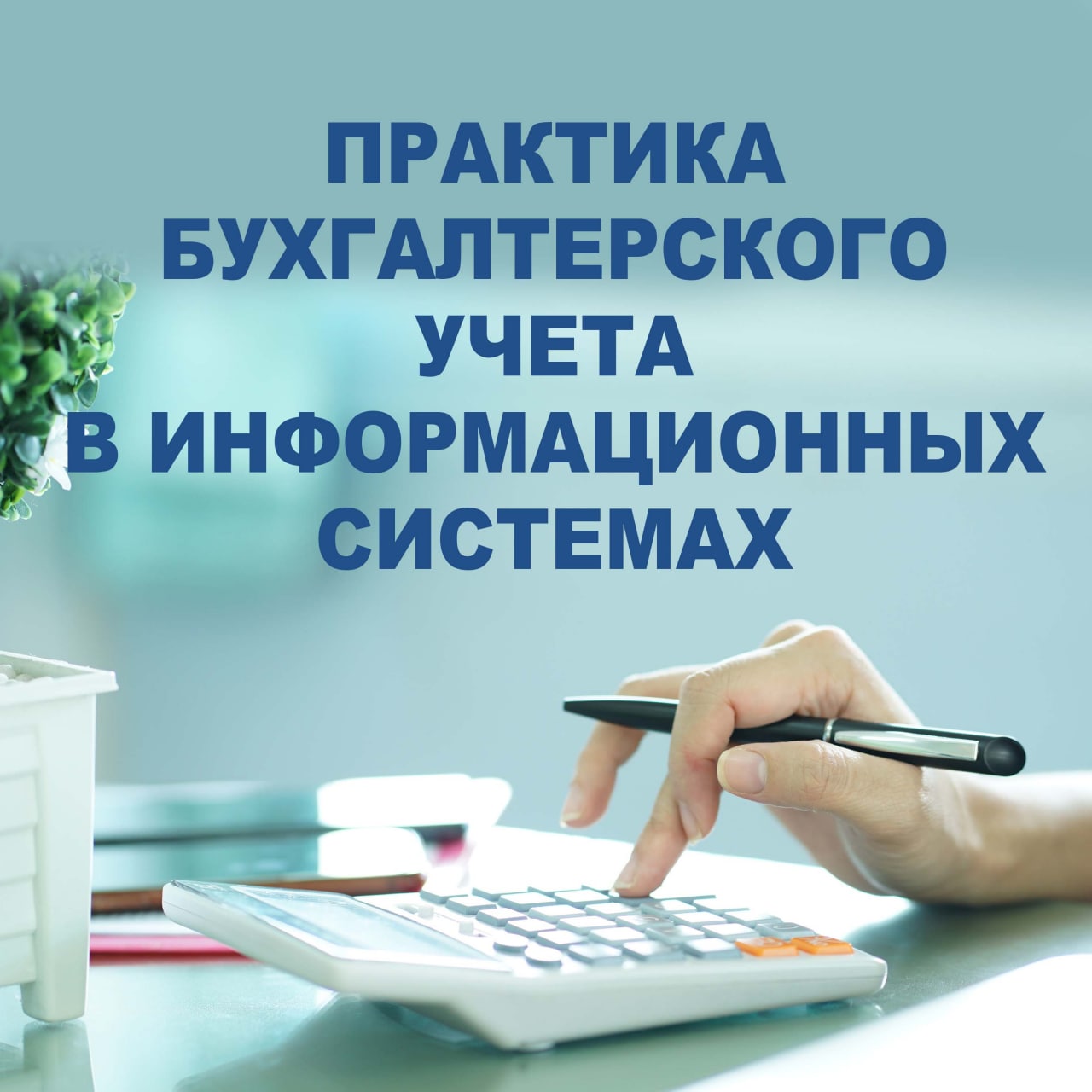 Практика бухгалтерского учета (теория и практика бухгалтерского учета)